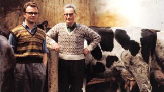Two men posed wearing Fair Isle style tank top and jumper with cattle in a barn on one of the Shetland Islands in 1970.