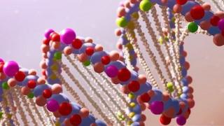 DNA