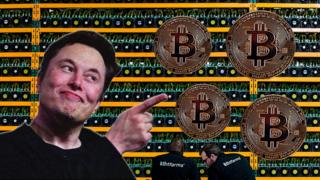 elon-musk-bitcoin.