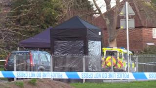 Haywards Heath stabbing