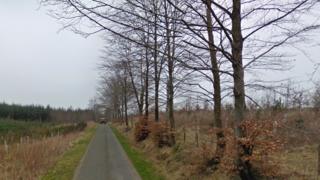 Birkshaw Forest