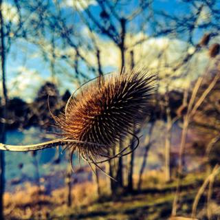 Taken on a walk in Bodicote near Banbury