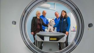 View of new facilities at Broadleys Veterinary Hospital