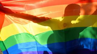 Un militant lors de la Gay Pride de Kiev en 2013