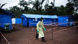 WHO say expert committee go decide on Friday weda to declare di Ebola outbreak public health emergency of international concern