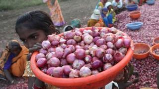 प्याज़ उगाने वाले किसान
