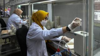 پام آئل لیبارٹری