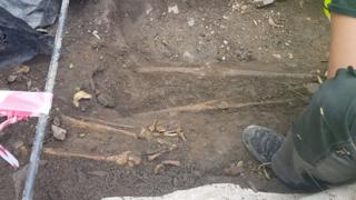 Skeletons being uncovered during the dig