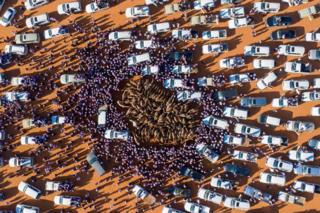 Cars and people surround camels