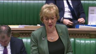 Andrea Leadsom speaking in the House of Commons