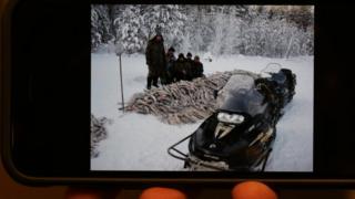 Фото со страницы Теплова