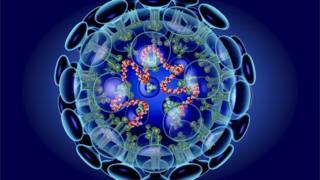 Illustration showing the structure of the coronavirus