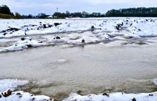 A field covered in snow with a large puddle of ice