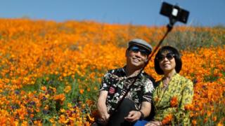 A couple takes a selfie photo in a super bloom of poppies in Lake Elsinore, California