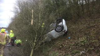 Car hitting tree