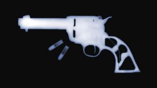 Arma em raio-x