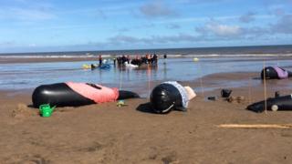 Whale rescue exercise
