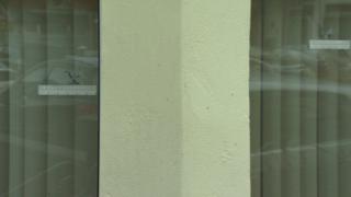 bullet holes in window