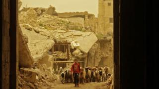 Halep'in daha önce muhaliflerin elinde olan Bâb-ı Kınnesrin mahallesinde bir çocuk koyunlarıyla yürüyor