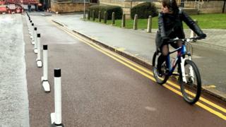 Orca wands on cycle lane