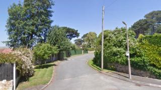 Parc Gorllewin Gannock