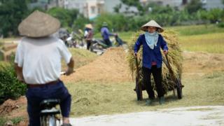 Việt Nam, đất đai
