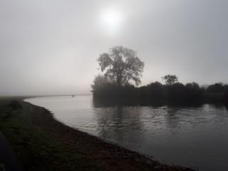 A misty morning at Port Meadow