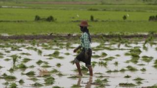 ရေကြီးရေလျှံ