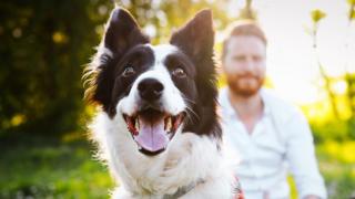 Man With 110 Dogs
