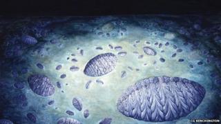 Fractofusus community