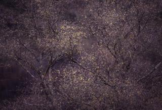 Left - by Lee Acaster