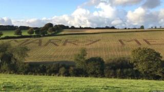 Proposal in farm.