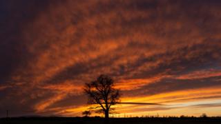 The fields between Milcombe and South Newington in Oxfordshire