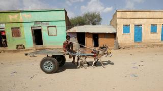 A man rides a donkey cart in Badme, a territorial dispute town between Eritrea and Ethiopia currently occupied by Ethiopia, June 8, 2018