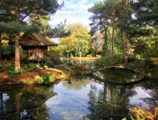 A Japanese style garden with autumnal colours