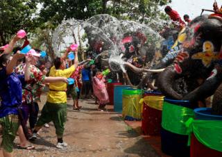 สงกรานต์ ช้าง อยุธยา