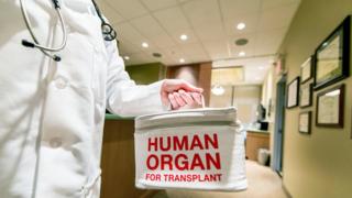 Медик держит сумку с надписью «человеческий орган»