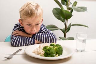 Niño rechaza plato con verduras