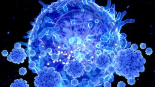 Т-клетки атакуют Covid-19