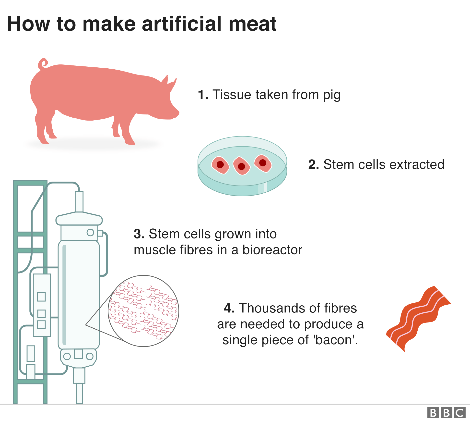 How meat. Искусственное мясо биореактор. Мясо в биореакторе.