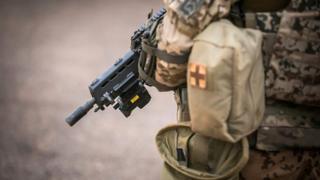 Selon le procureur de la République, c'est une boite contenant environ une vingtaine de cartouches de divers types d'armes qui a été découverte.