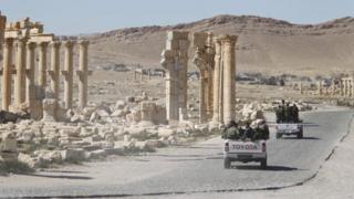 Palmyra
