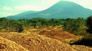 Orange waste