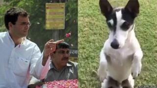 राहुल गांधी आणि पीडी