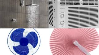 fan and co