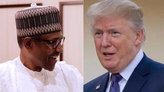 Buhari,Trump