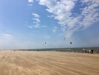 Kite surfers on a beach