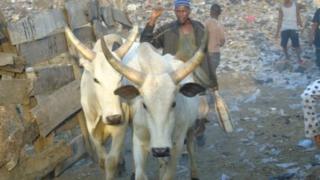 An jima ana samun rikici tsakanin fulani makiyaya da manoma a Najeriya