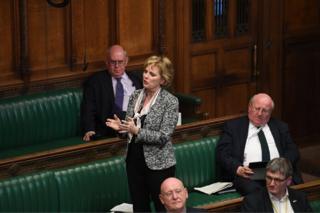 Anna Soubry speaks in the House of Commons