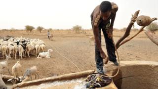 La pluviométrie et les attaques de chenilles seraient à l'origine de cette situation qui touche les pasteurs et les agro-pasteurs.